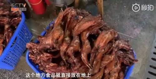 爆料网红黑历史吃瓜鸭,吃瓜鸭带你一探究竟