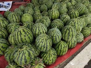 万小七吃千万网红的瓜,千万网红瓜中那些不为人知的秘密