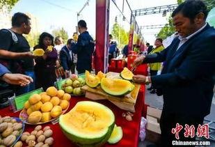 库尔勒吃瓜爆料视频最新,揭秘幕后真相，带你走进事件核心