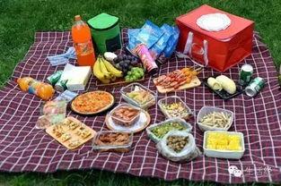 野餐兔网红吃瓜图片大全,趣味横生美食图鉴