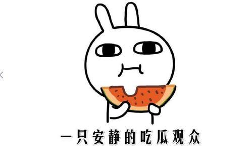 抖音网红吃瓜的人叫什么,揭秘抖音网红“吃瓜的人”的真实身份