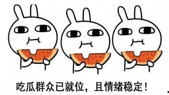 网语吃瓜什么意思,网语“吃瓜”背后的娱乐现象解析